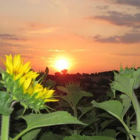 Apartahotel Del Principato *