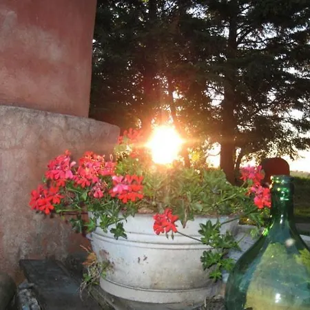 Del Principato Apartahotel