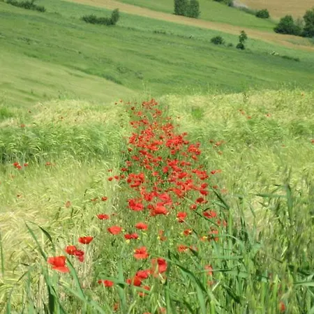 Apartahotel Del Principato Panicarola