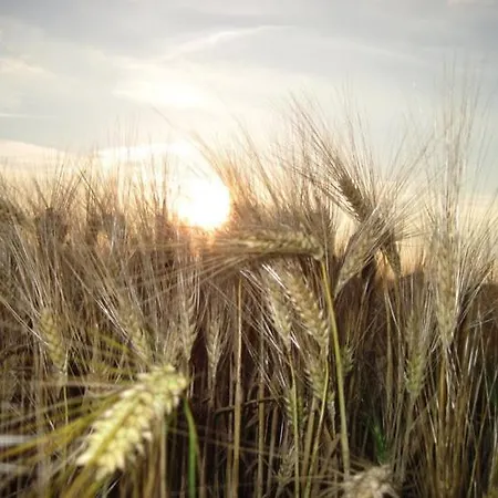 Del Principato * Panicarola