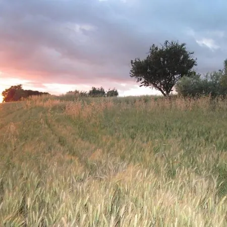 Del Principato * Panicarola