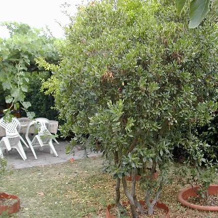 Apartahotel Del Principato Panicarola