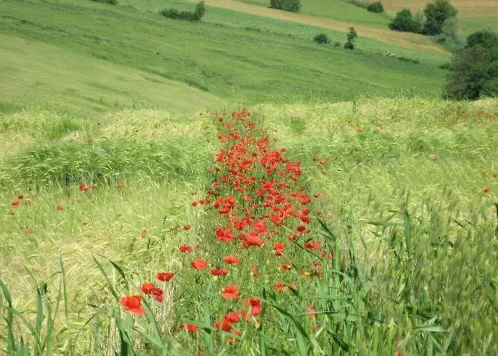 Aparthotel Del Principato Panicarola