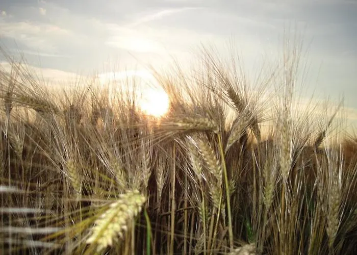 Del Principato * Panicarola