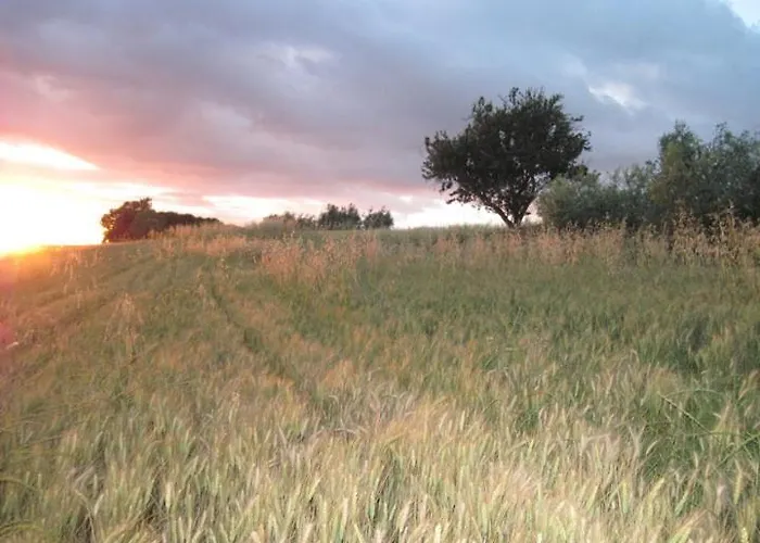 Del Principato * Panicarola